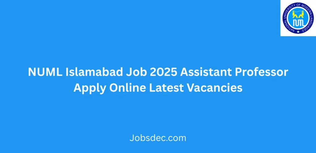 NUML Islamabad Job 2025 Assistant Professor Apply Online Latest Vacancies